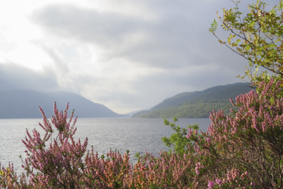 Loch Lomond