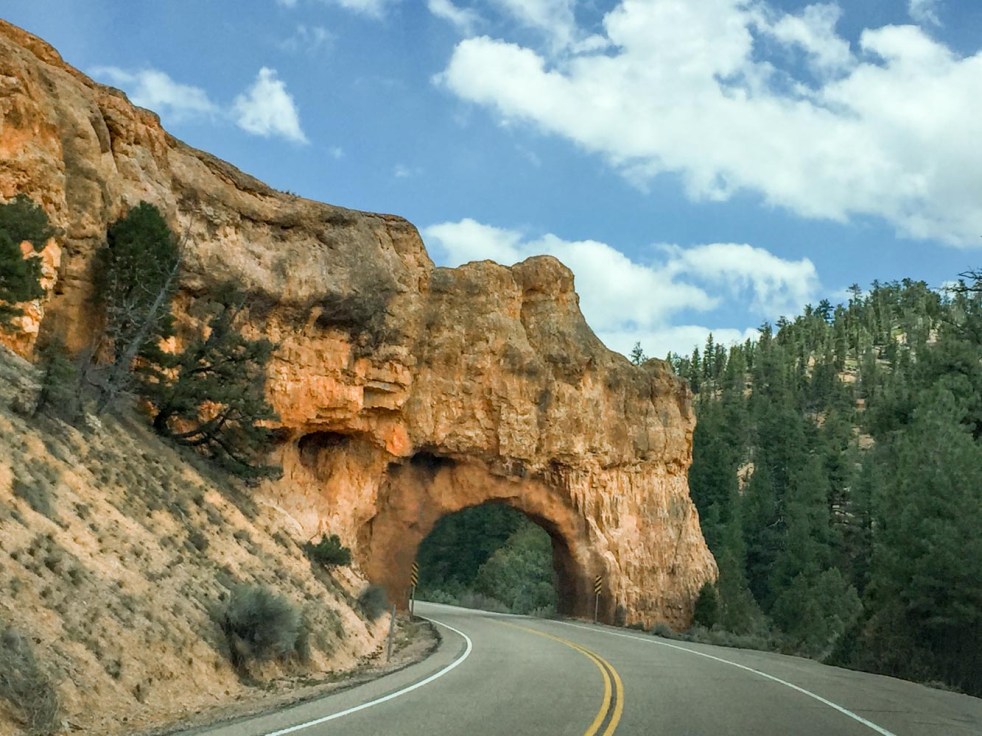 Zion-Bry_151_SBH_160510_ME