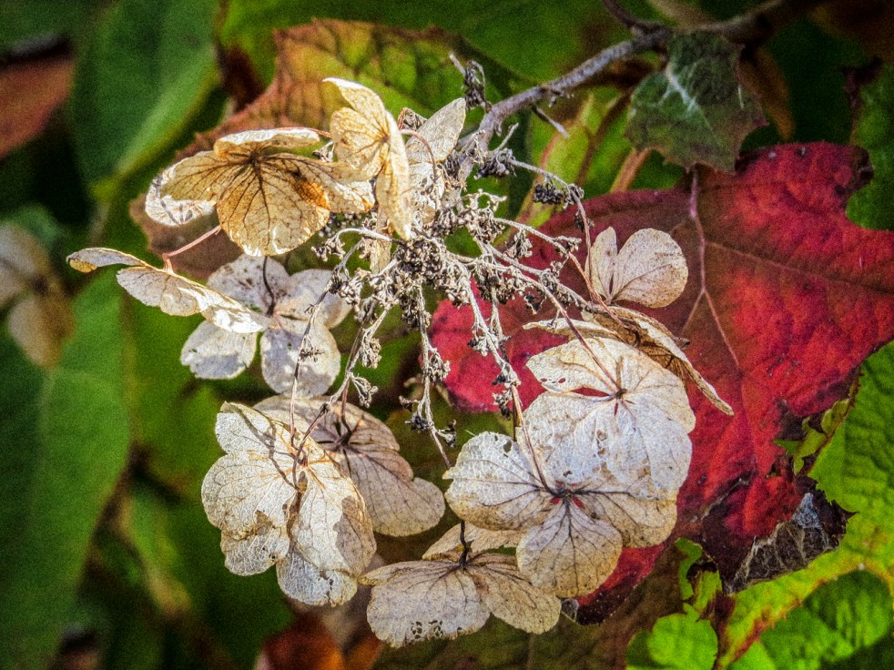 october-21-2016_412_161021