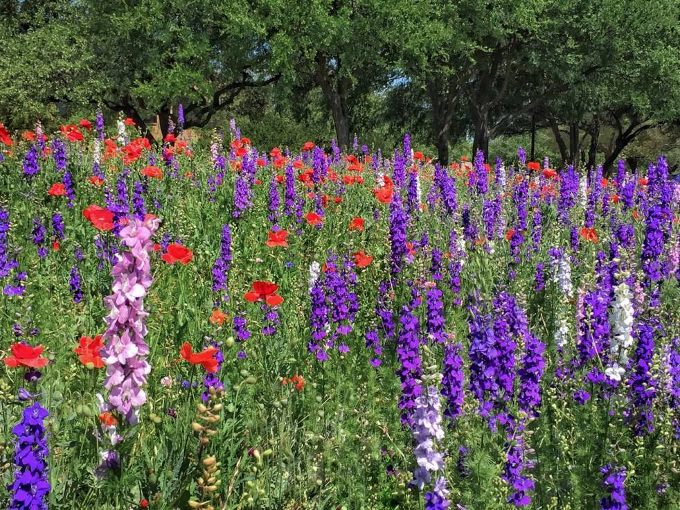 Richardsonlibrary-5-2