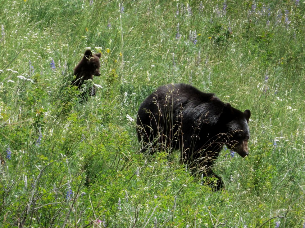 June 14, 2017_696_170614