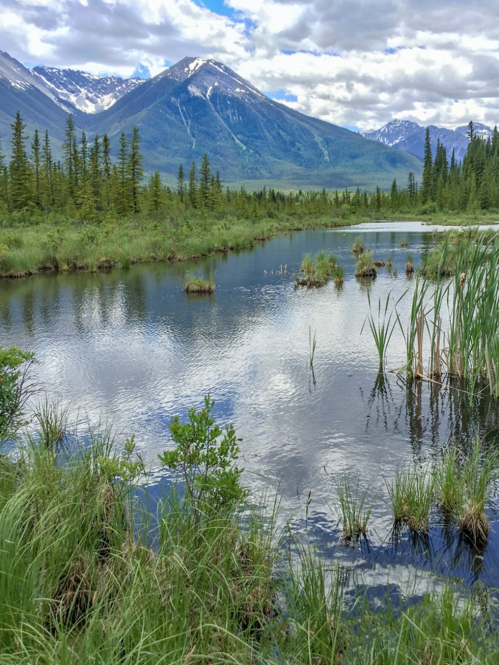 June 24, 2017_711_170624