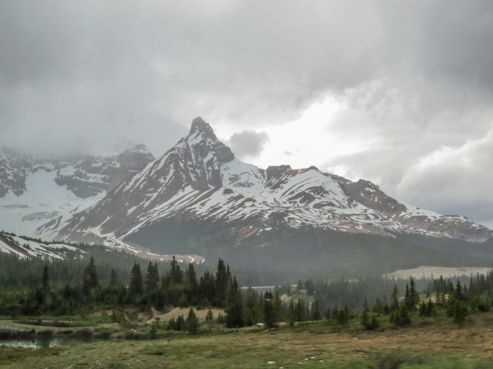 Lake Louise to Jasper-69