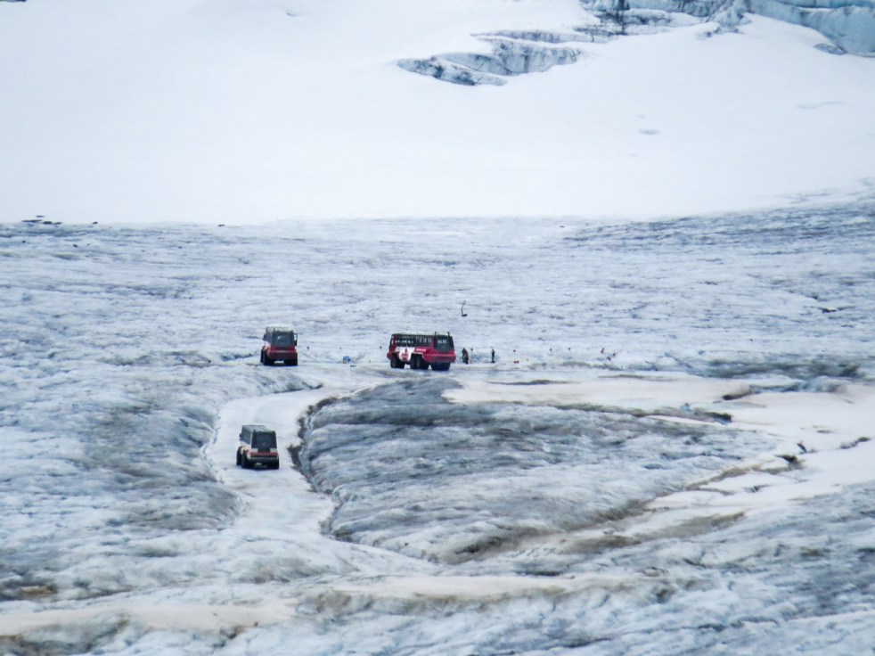 Lake Louise to Jasper-74