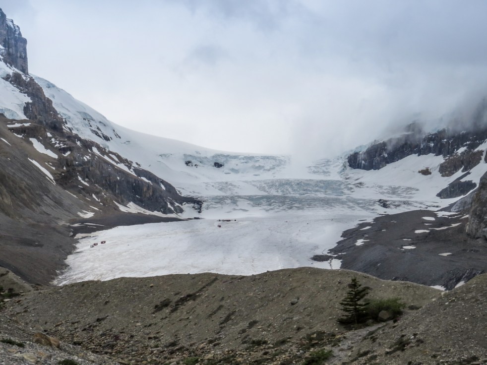 Peyto,Moraine,Banff-86