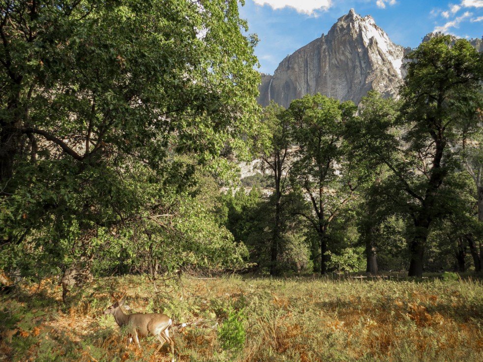 YosemiteValley-292