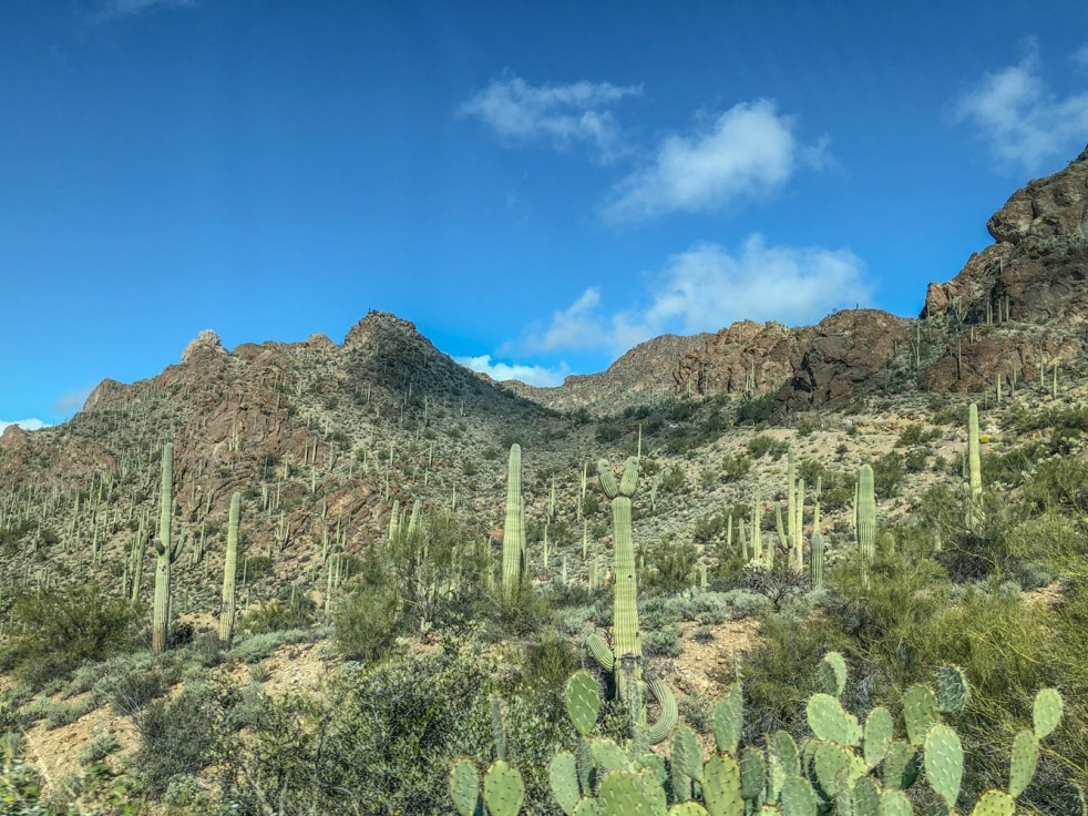 tucson2018-147