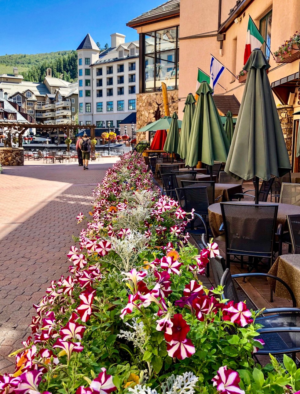 31687E0B-3CFA-455C-8AAB-C35B20CACD1D