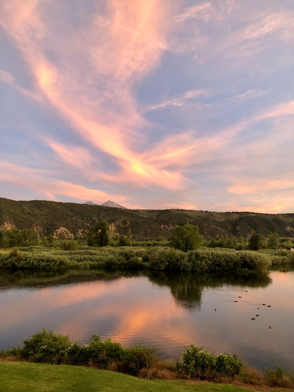 42EC4D5B-8629-464A-A6ED-5D86FD5F64F5