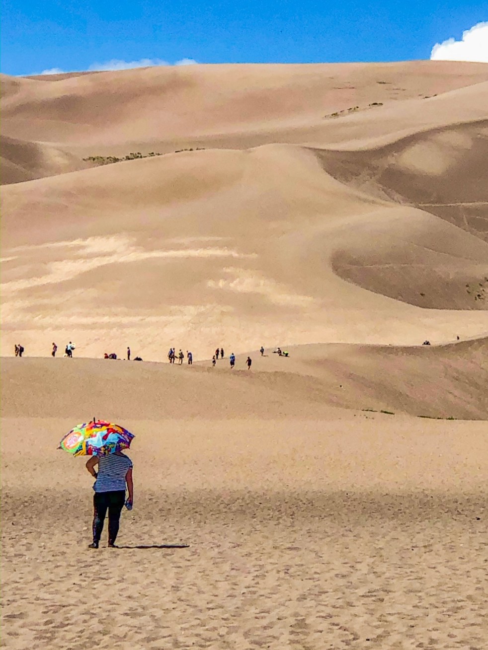 6BA7293D-17AC-4847-AD49-94A494212656