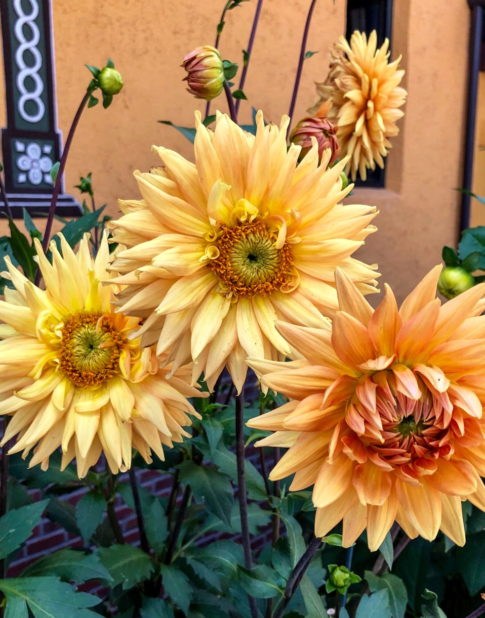 A44F81AD-5A8A-41B4-8644-B638A805CB25