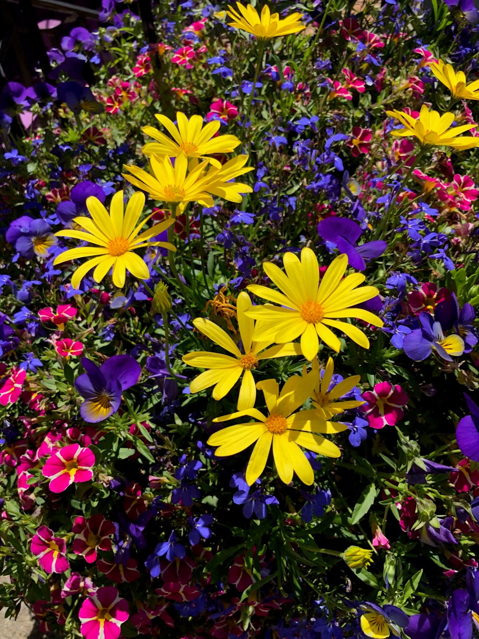 B6C19E22-847C-4E72-A041-CD7B7729C969