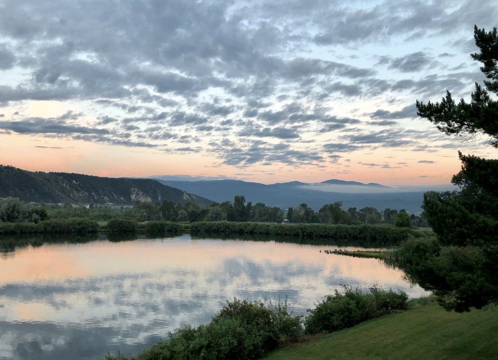 C612C972-37B8-4CB2-A353-A335AED732CF