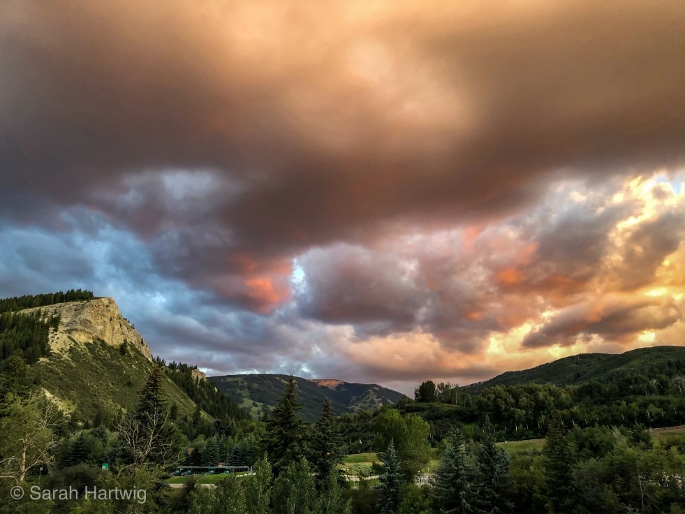 D42DDF96-6569-426E-8A3D-FB483708BB3E