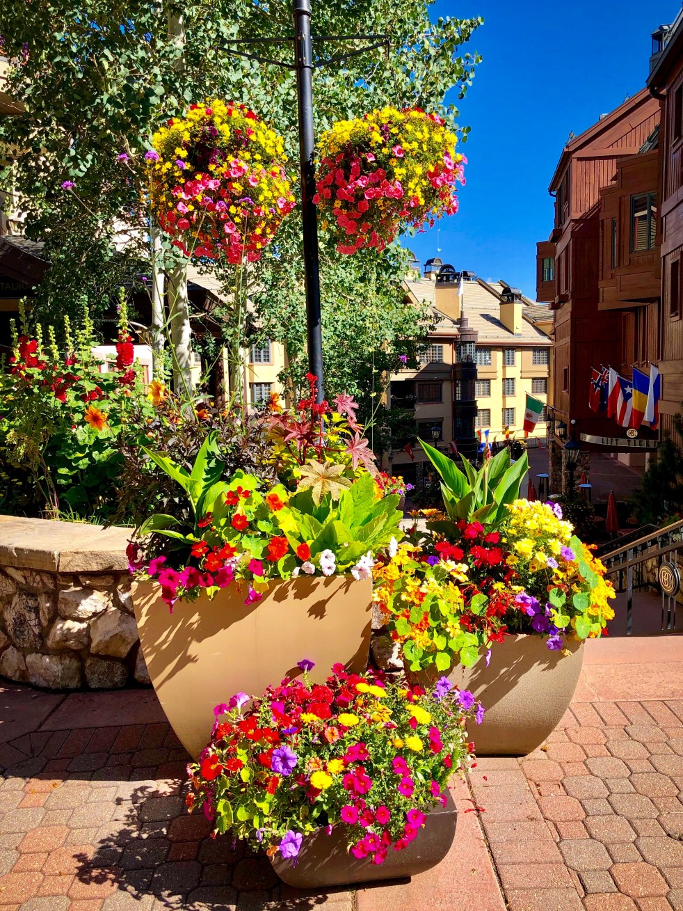 F749B929-ACAC-4647-9A78-F0070A7420B9