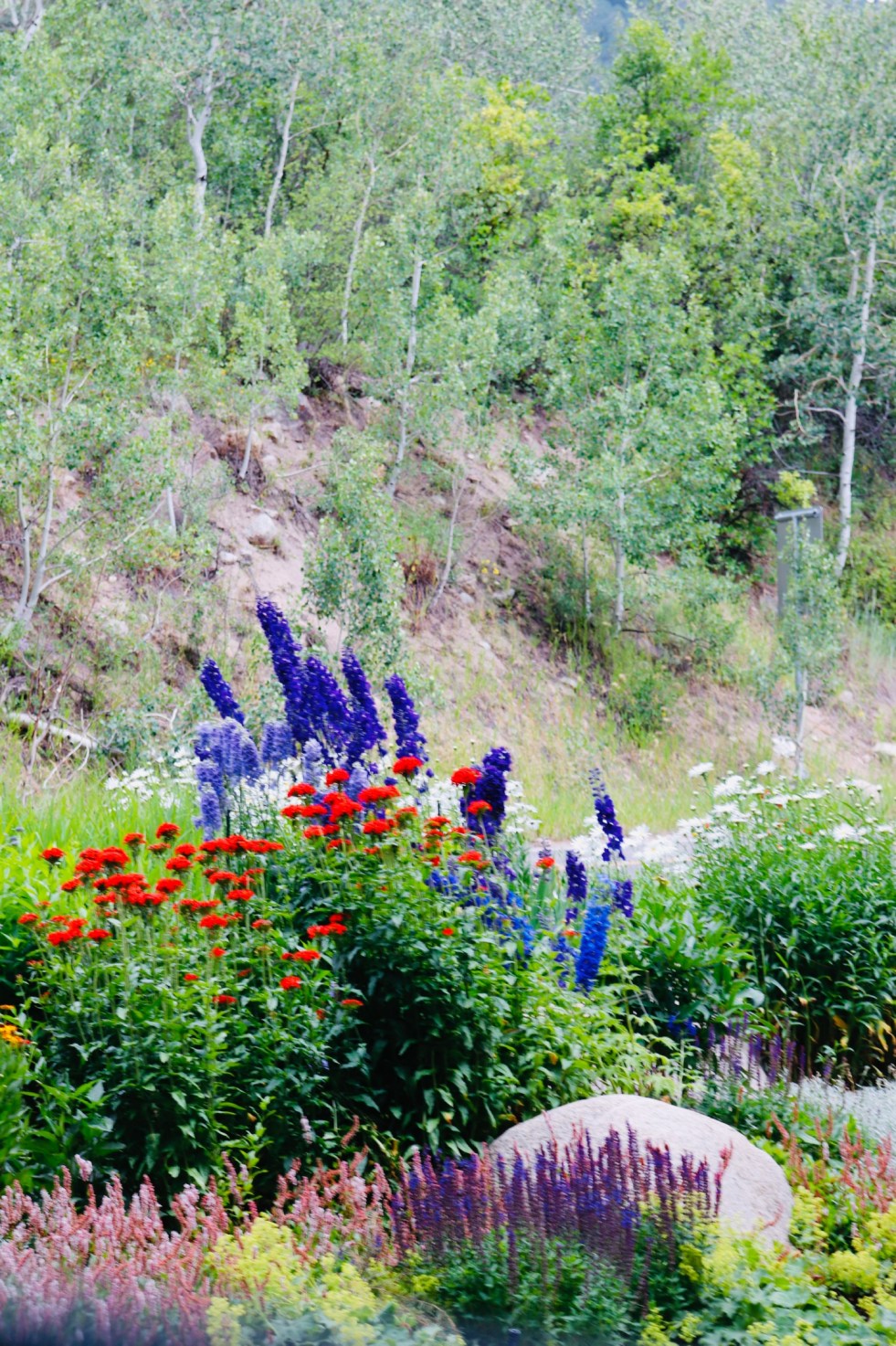 FD4A737C-725F-48C4-87D7-845908CA55A2